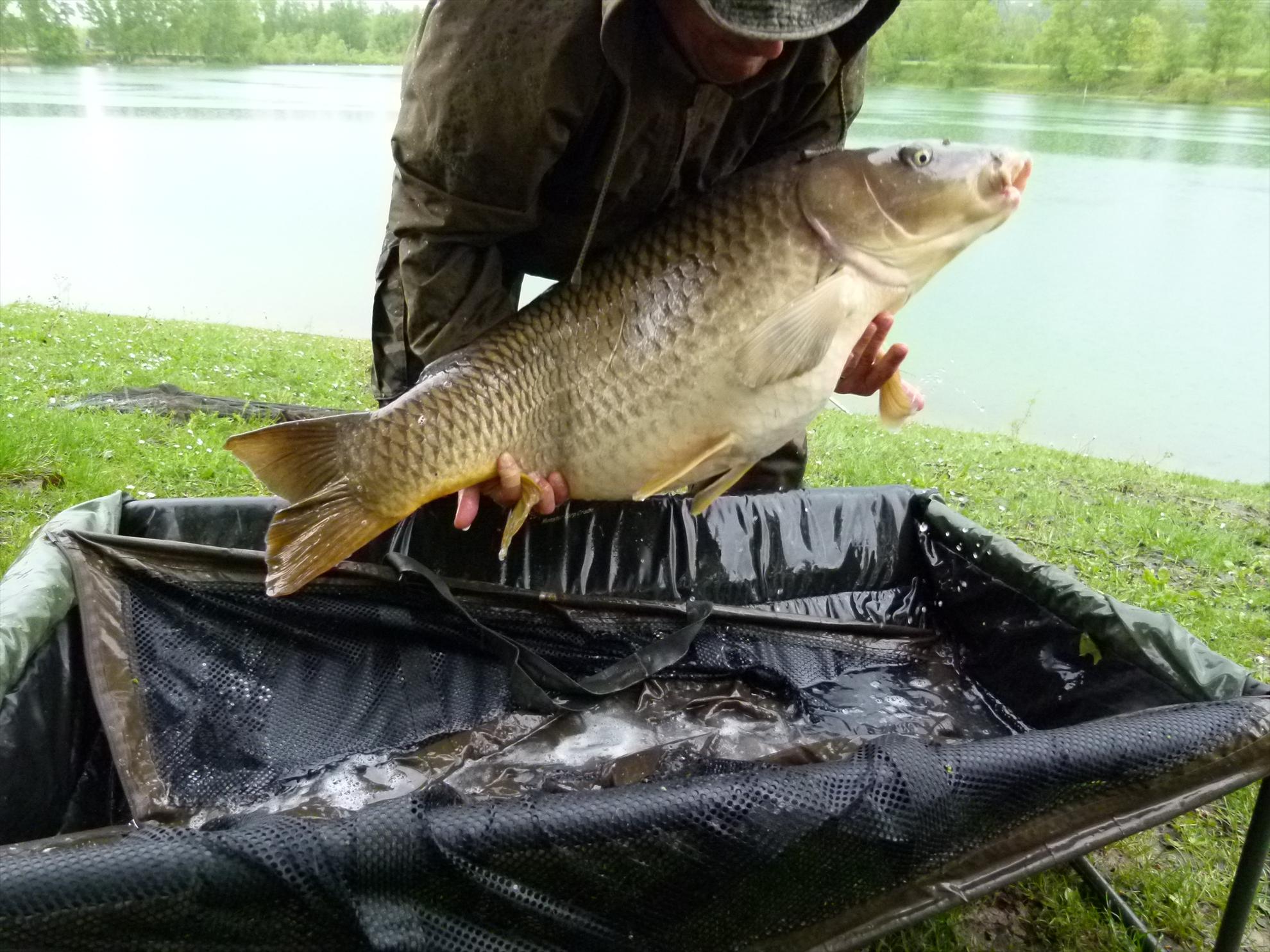 THE BIGS OF 2012 - p10000381.JPG